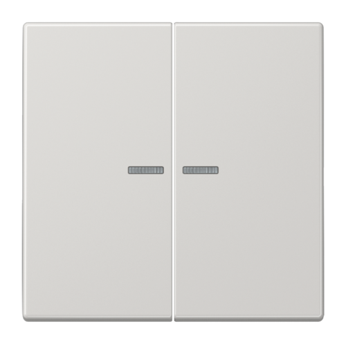 Клавиша двойная с линзами JUNG LS 990, светло-серый