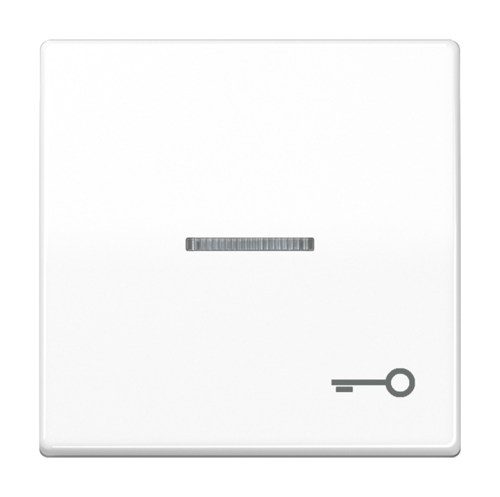 Клавиша JUNG AS 500, белый