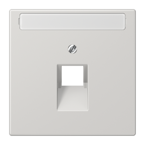 JUNG LS 990 Светло-серая Накладка 1-ой наклонной ТЛФ/комп розетки с полем для надписи