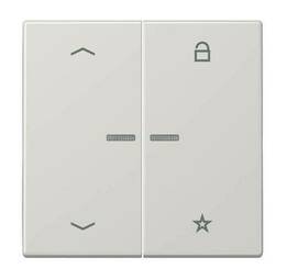 Накладка на жалюзийный выключатель Jung LS 990, светло-серый, LS1701PLG