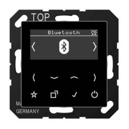 Цифровое радио Jung А-СЕРИЯ, с дисплеем, электронный, черный, DABABTSW